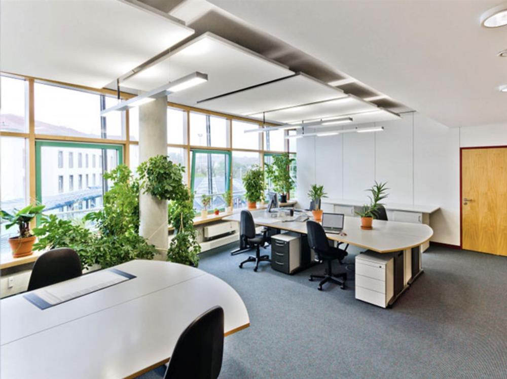 Văn phòng xanh đang là xu hướng được nhiều doanh nghiệp ưa chuộng